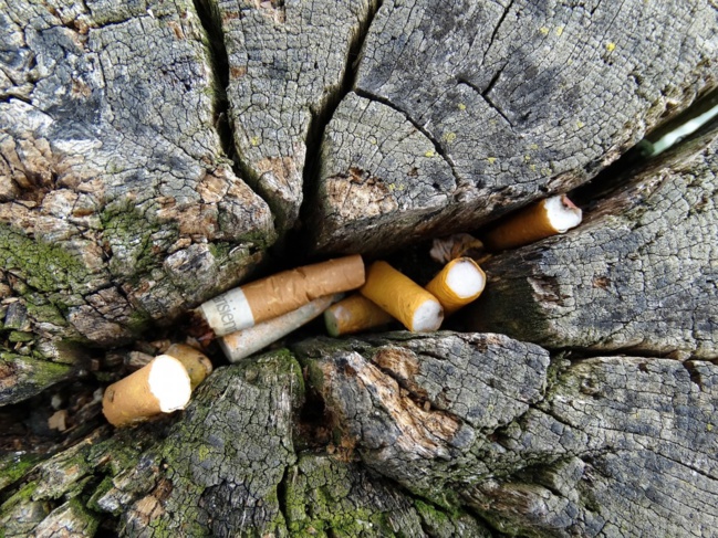que faire de nos déchets